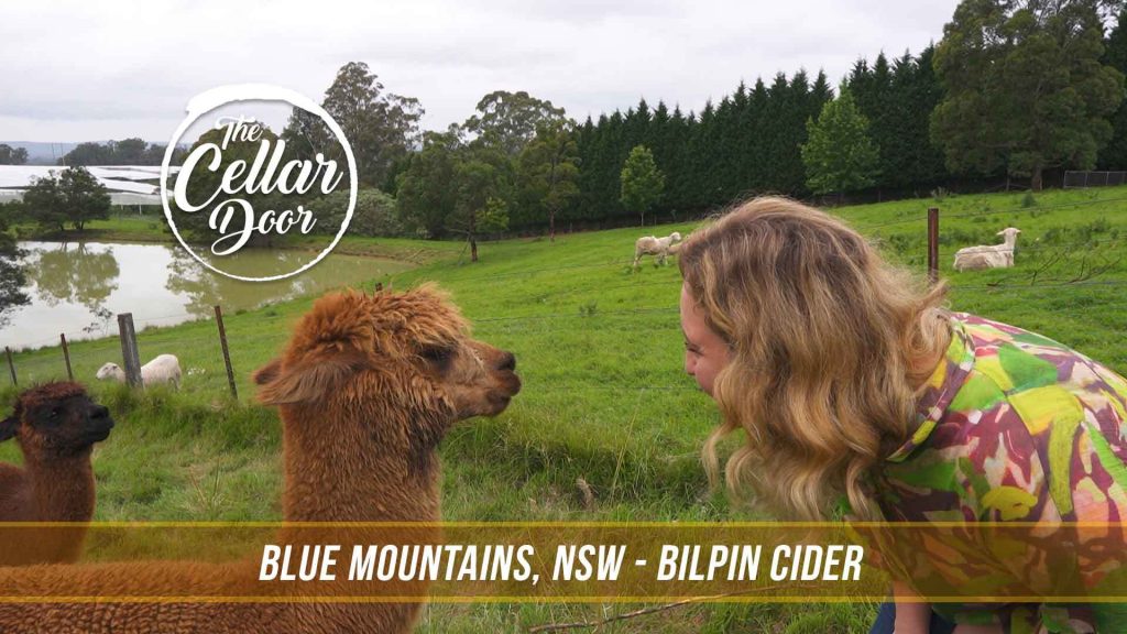 Bilpin, NSW – Bilpin Cider