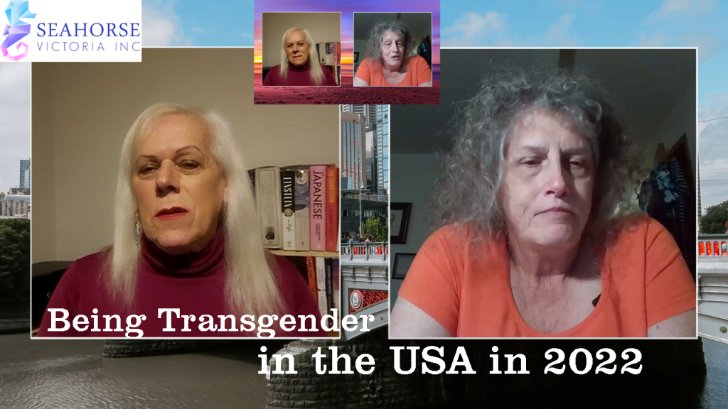 Seahorse – Being Transgender in the USA in 2022