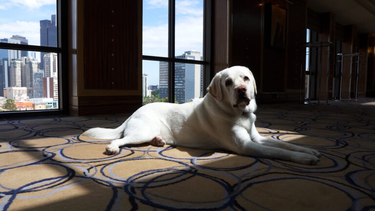 Mr. Walker, Macca & Zoos Victoria