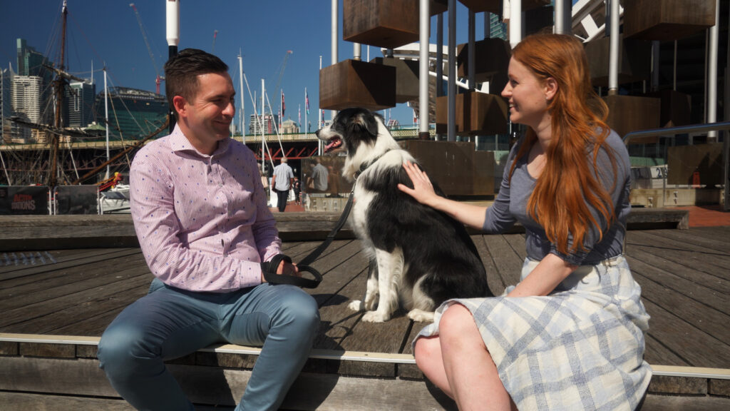 Favourite Dogs – Part 1