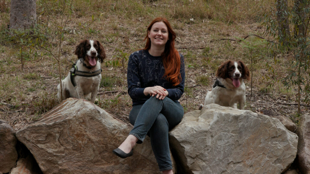 Water Detection Dogs