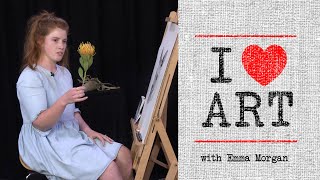 Emma Morgan – Part 2 – Eastern Grey Kangaroo