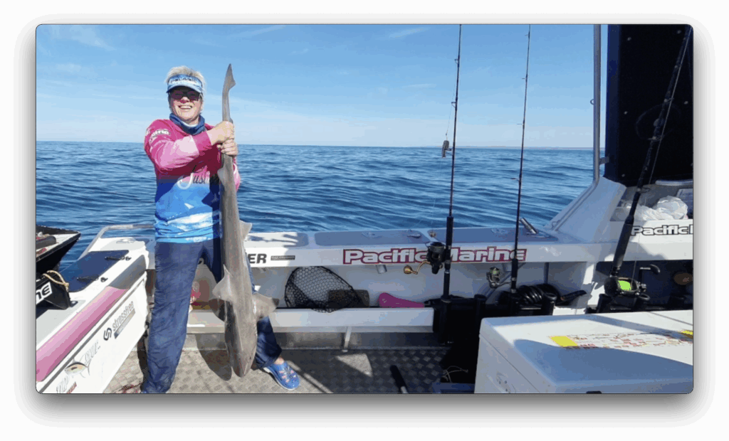Jules and her sharks