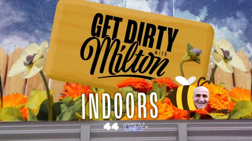 Get Dirty with Milton
