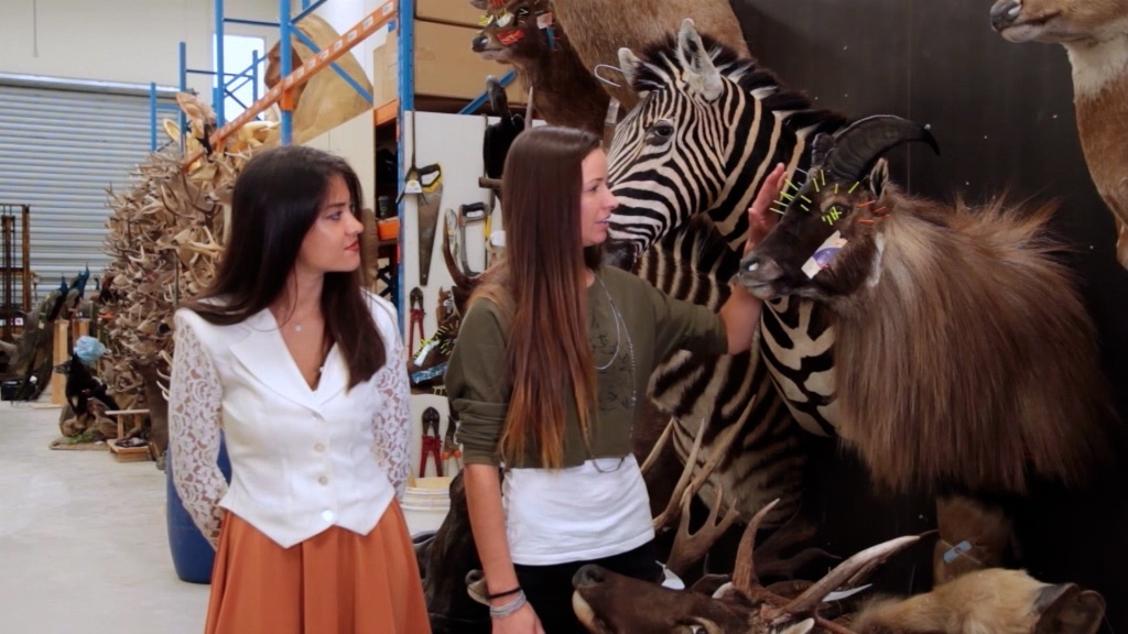 Taxidermy