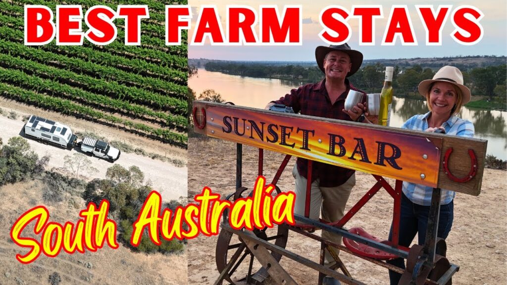 The BEST Sunset Bar + OFF GRID Farm Stay: 2 Campgrounds YOU MUST visit!