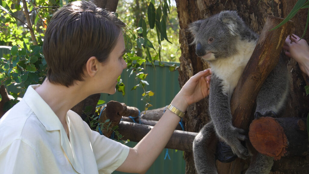 Waterholes Wildlife Sanctuary