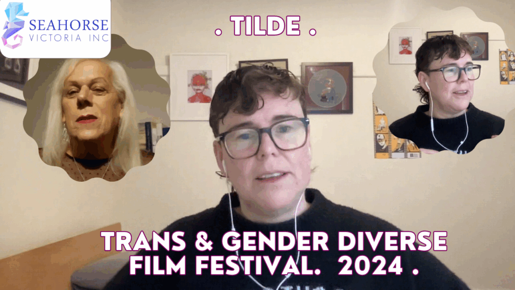 Seahorse Victoria – TILDE Trans & Gender Diverse Film Festival, CEO Ro Bright, First Decade