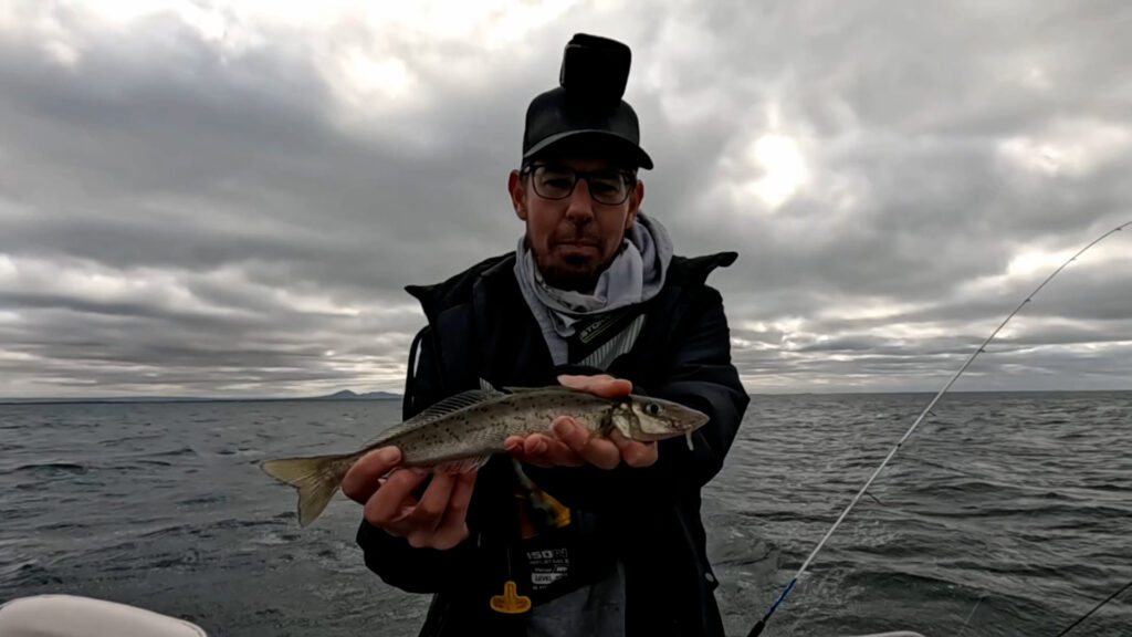 Soft Plastics KGW Masterclass