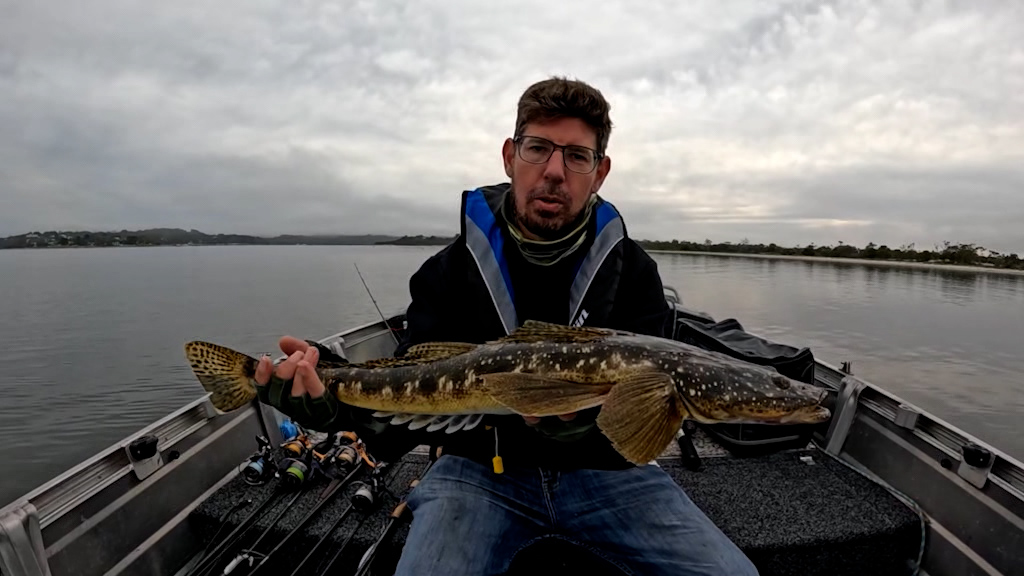 Giant Fish in Shallow Waters