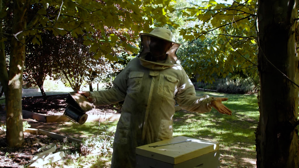 Harvest Time! Enjoying Your First Batch of Honey