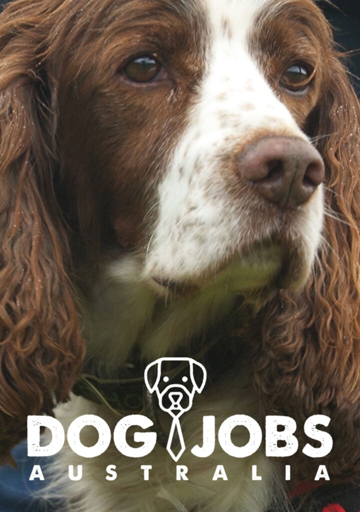 Dog Jobs Australia