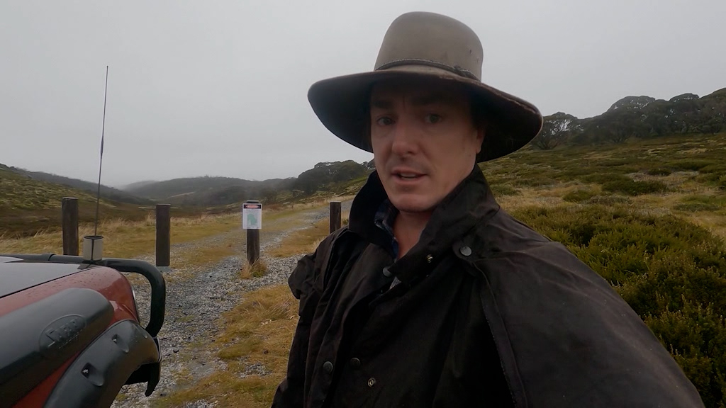 Bogong