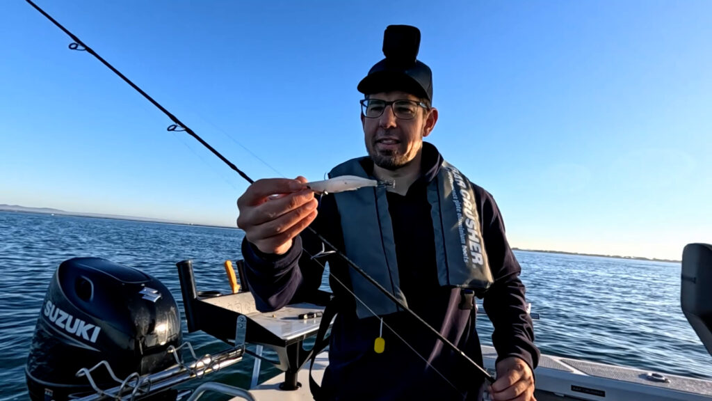 Solo Boating in the Bay