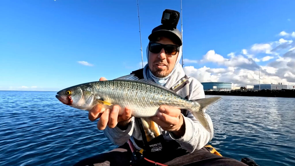 Insanity at this Crazy Melbourne fishing spot