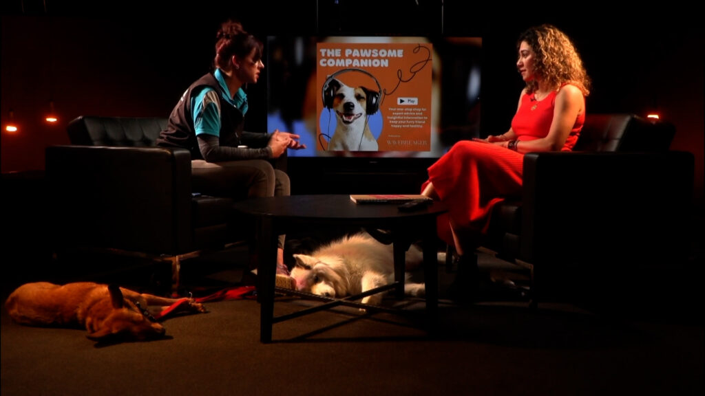 Dogs with Purpose: Rescue, Resilience and a Whole Lot of Heart