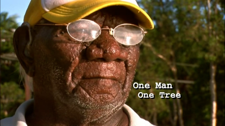 One Man, One Tree