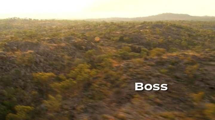 Boss