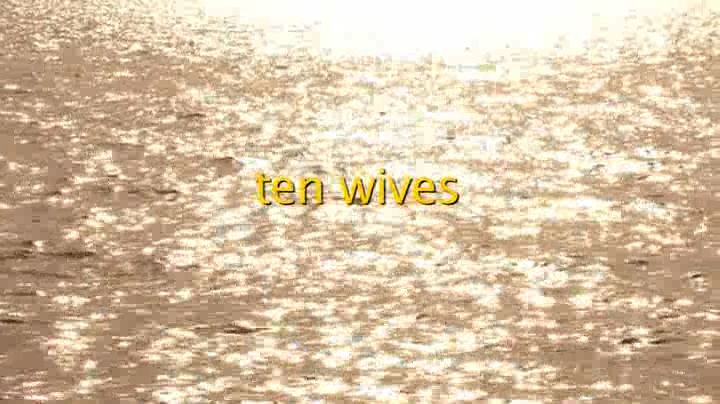 10 Wives