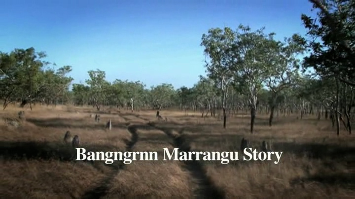 Barngngrnn Marrangu Story