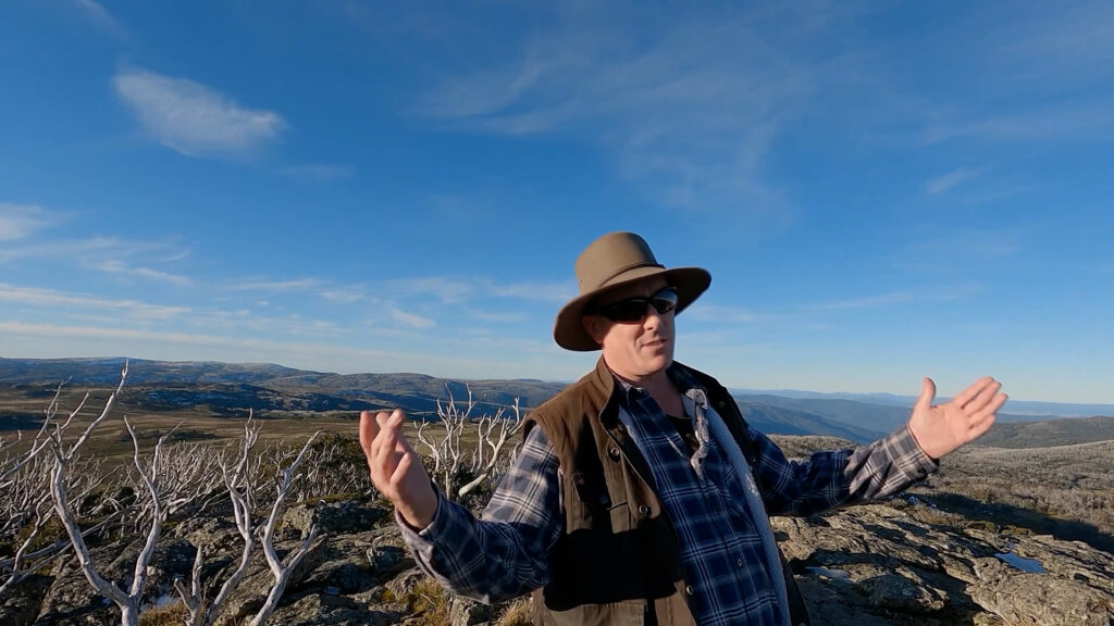 Bogong