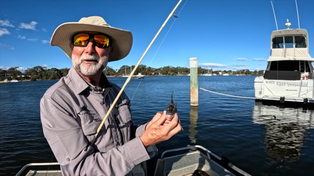 Paynesville