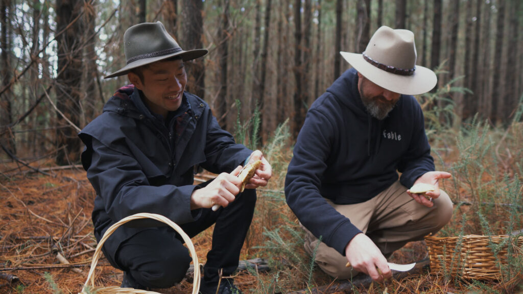 Pine Mushrooms