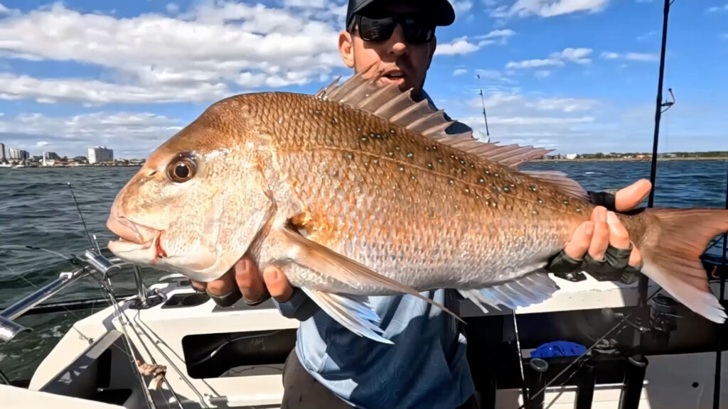 Bait Vs Soft Plastics