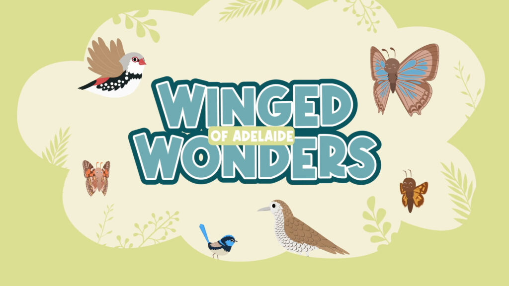 Winged Wonders