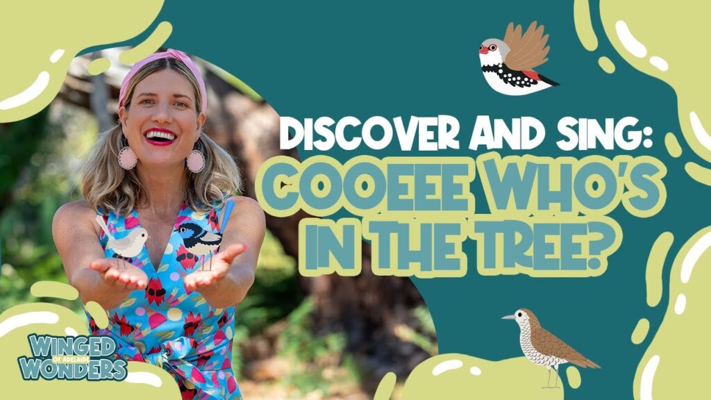 Spot and Sing Along Woodland Birds – Diamond Firetail, Bassian Thrush & Superb Fairy-wren