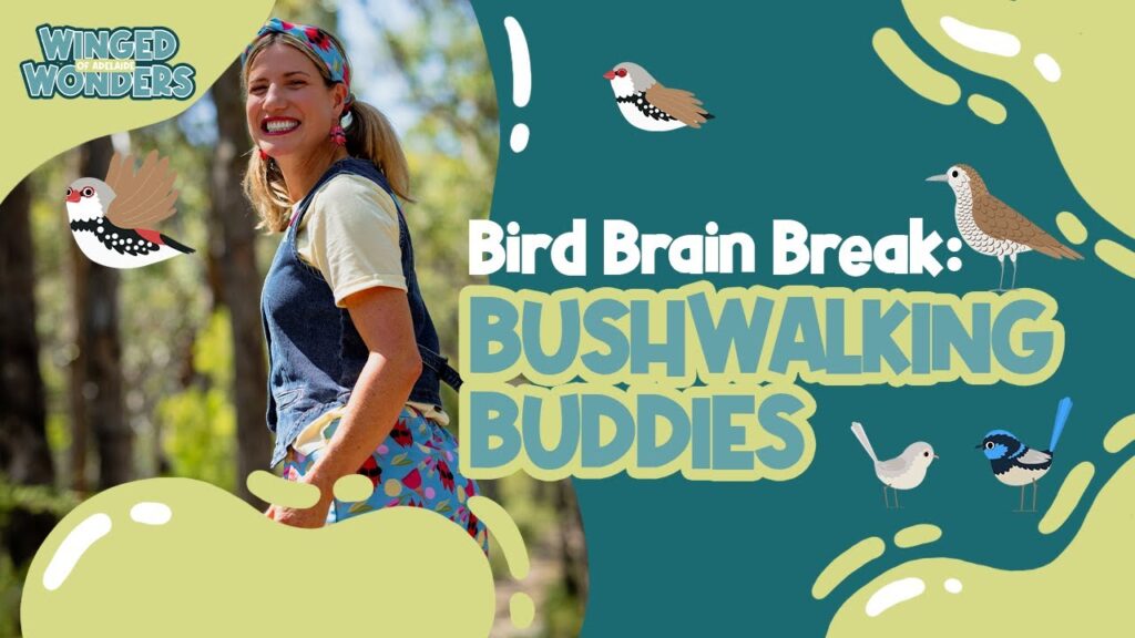 Woodland Bird Walk for kids and families – Explore Cleland National Park & Sing Along