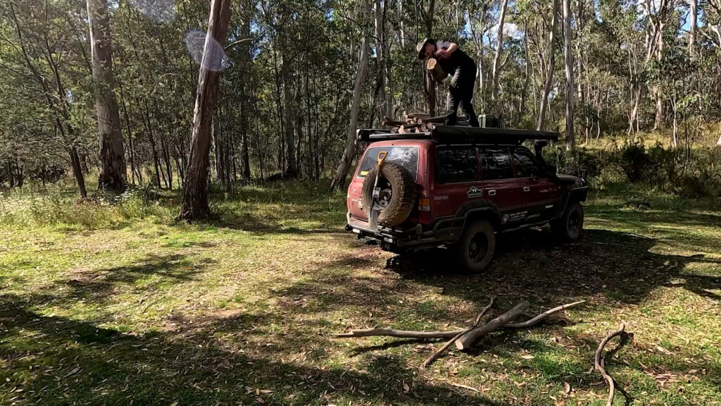 Best of Bush TV: Dogs