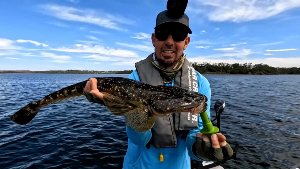 Big fish by Day | Huge Prawns by Night
