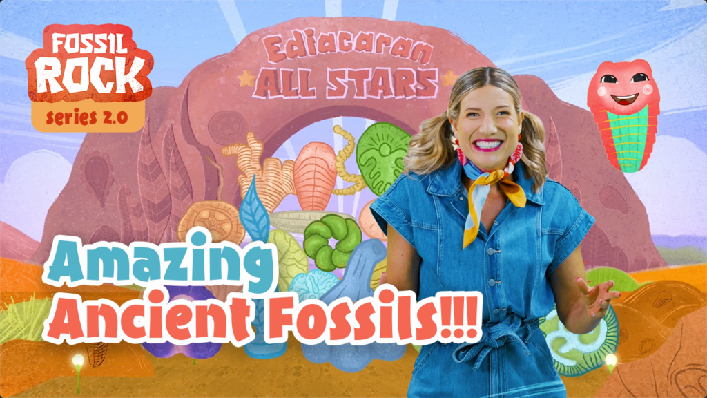 Fossil Rock All Stars