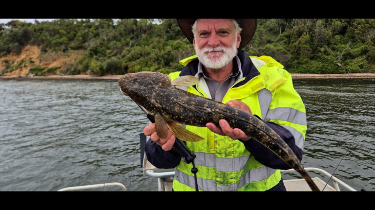 Metung Flathead