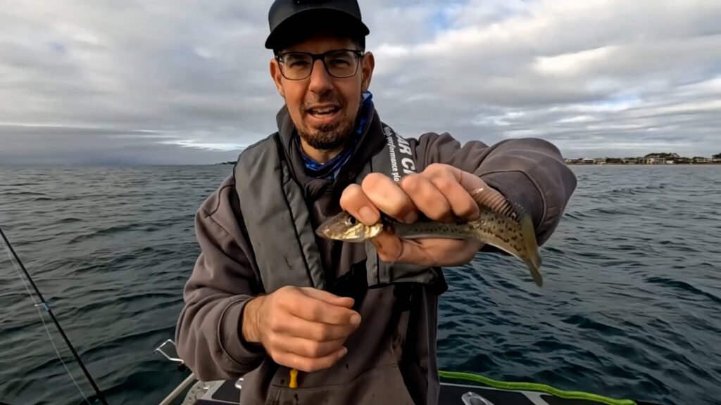Whiting Edge