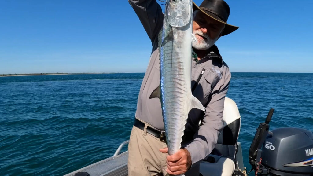 Darwin Mackeral