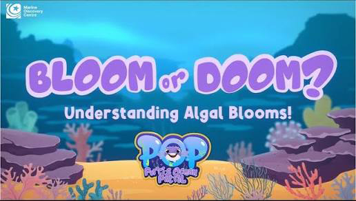 Bloom or Doom: Understanding Algal Blooms