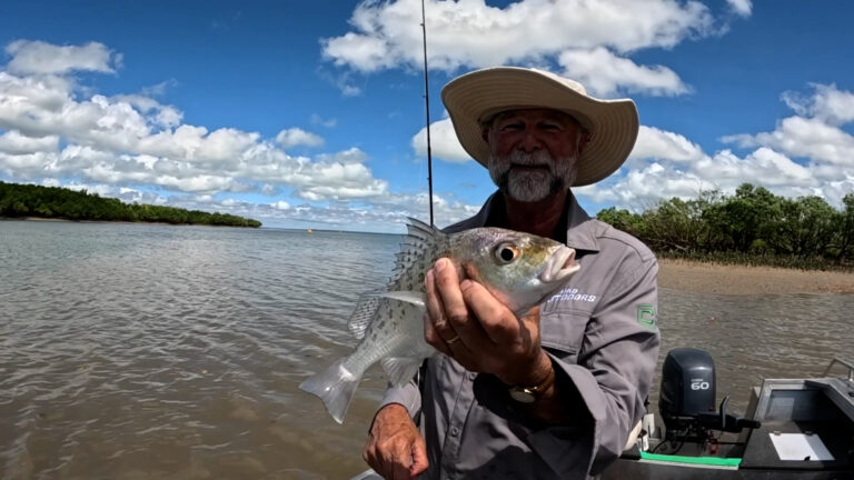 Darwin Barra