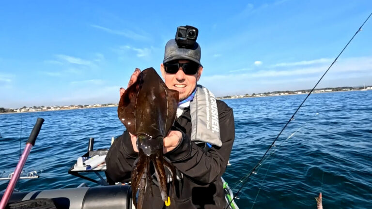 Squidtrex on Whiting